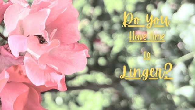 Do You Have Time to Linger?